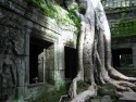 Angkor Wat (182)