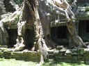 Angkor Wat (233)
